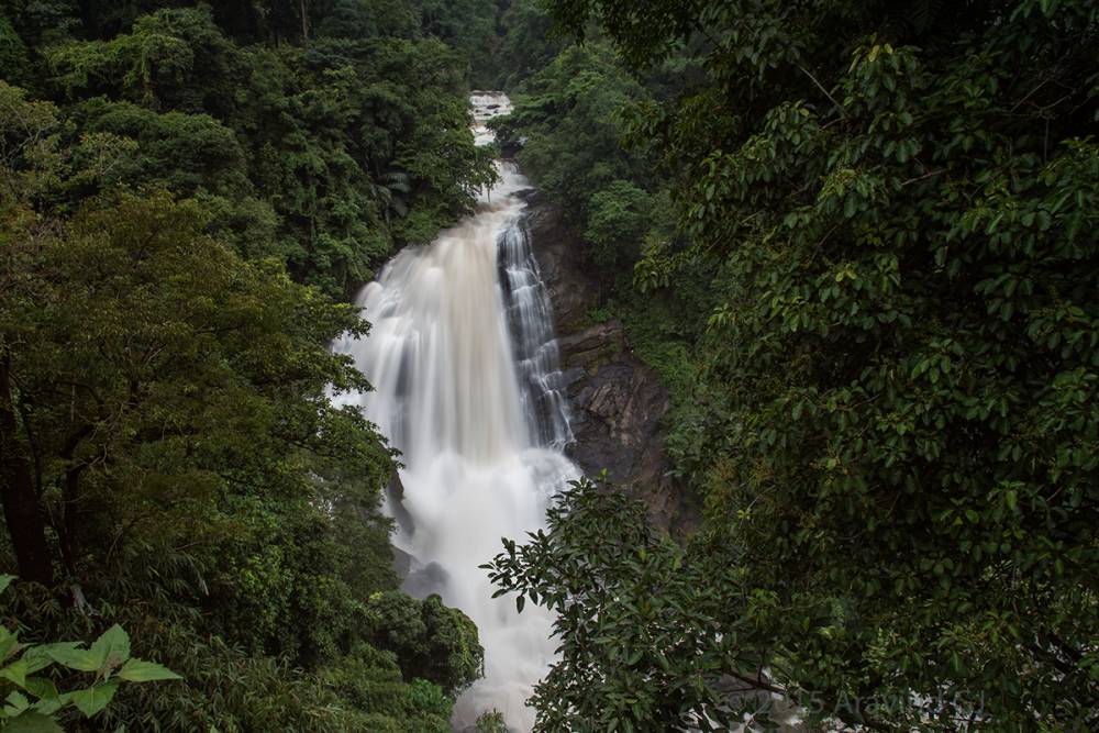 Nayamakad Waterfall